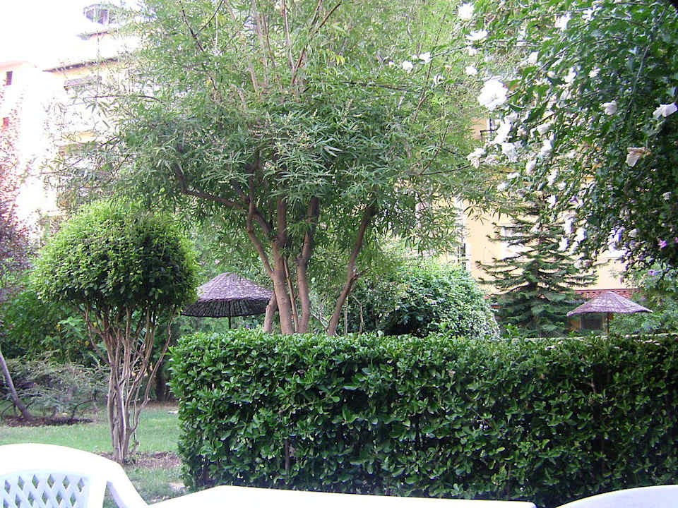 Garten im hinteren Bereich Şevki Bey Hotel