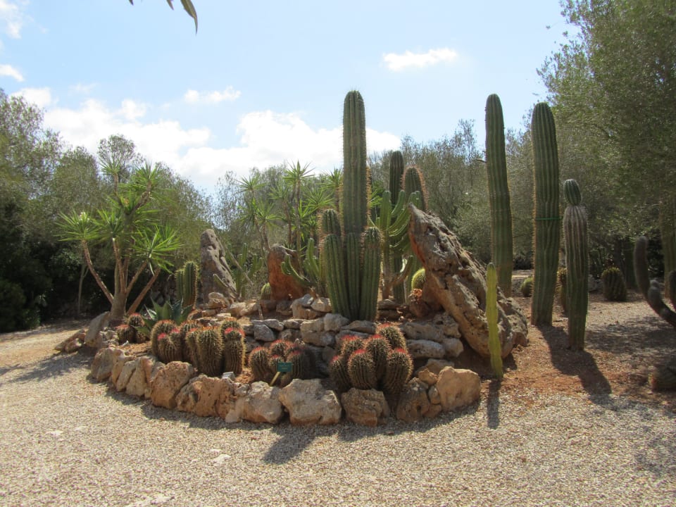 Aussicht aus Zimmer Finca Hotel Rural Es Turó