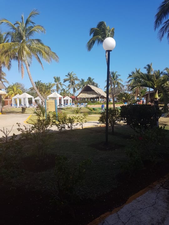 Poolbereich Hotel Roc Barlovento