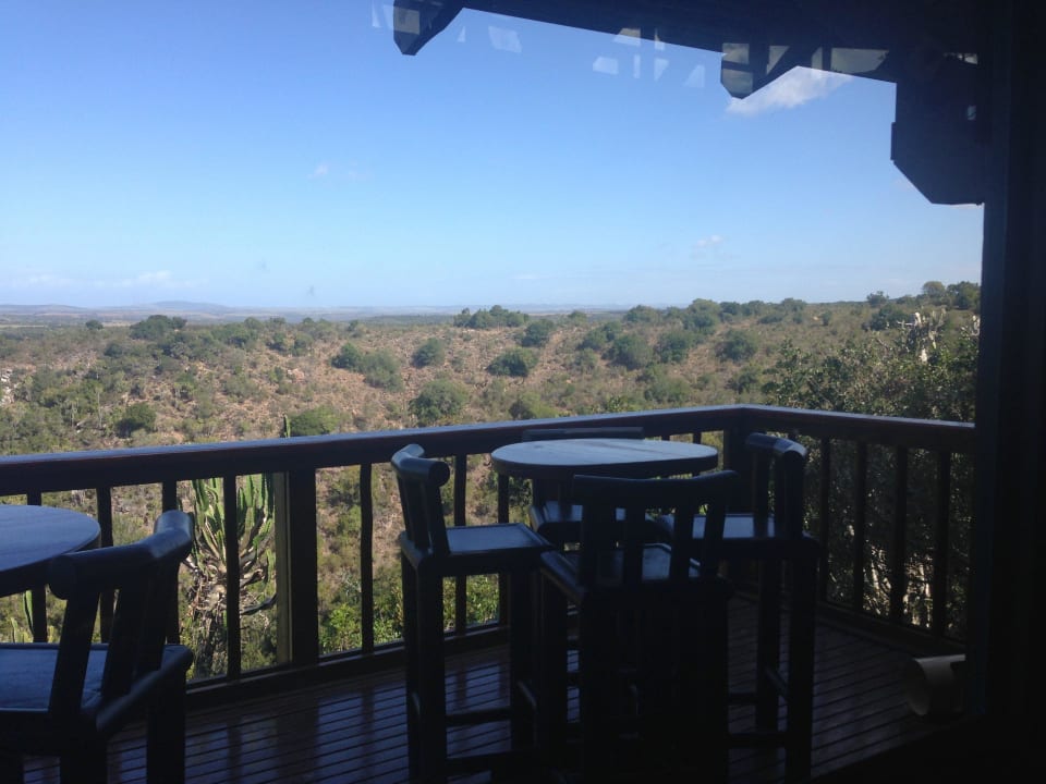 Bar über den Bäumen mit traumhaftem Ausblick Kariega Game Reserve - Ukhozi Lodge