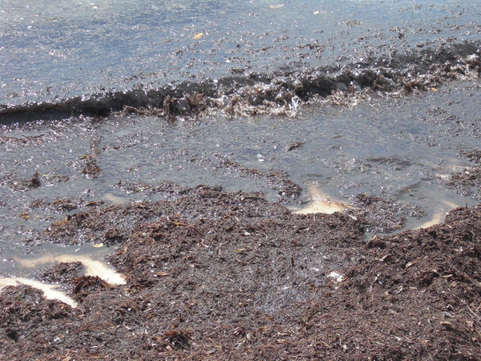 Strand? BlueBay Grand Esmeralda