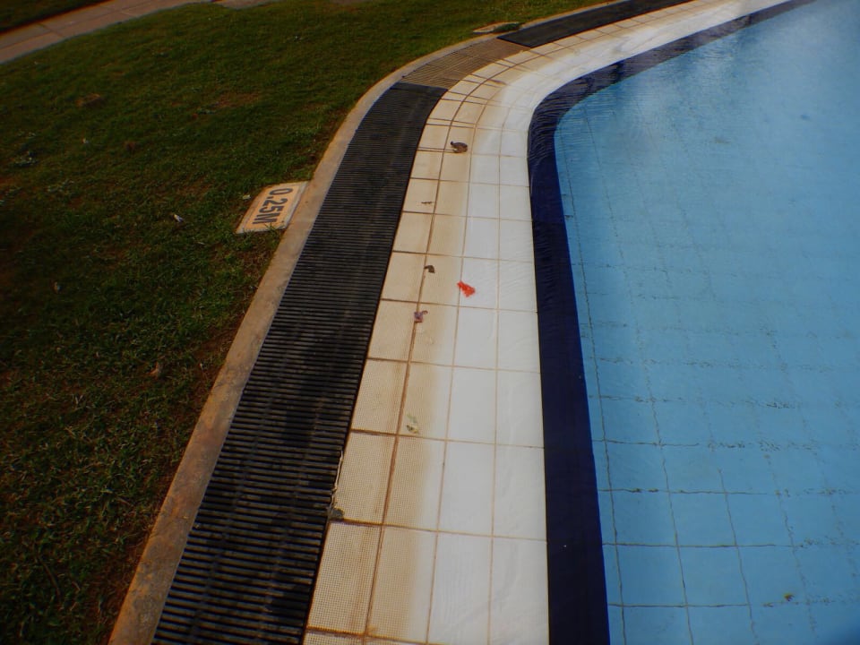 Pool Club Hotel Dolphin