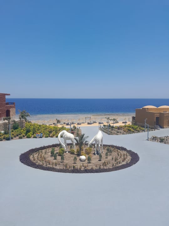Gartenanlage Pickalbatros Vita Resort - Portofino Marsa Alam