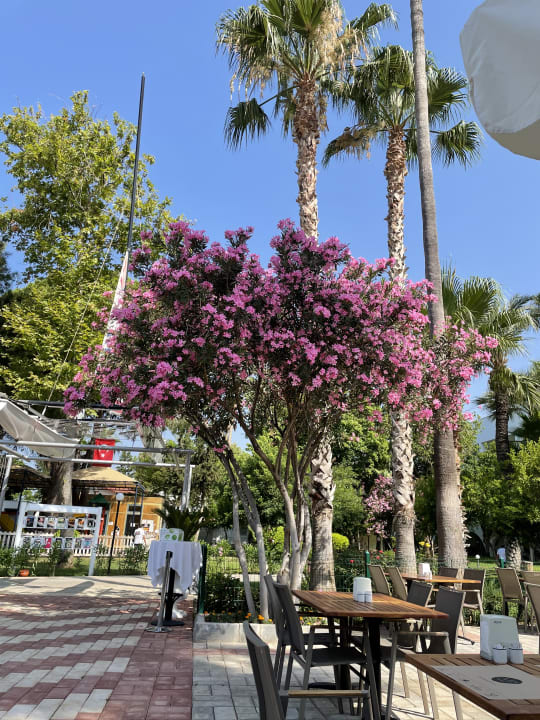 Gastro Labranda Alantur Resort