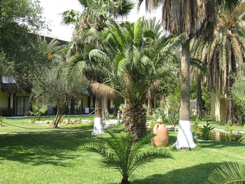 Kolejna część ogrodu Hotel Paradis Palace