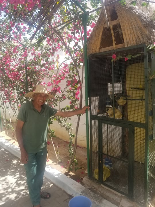 Gartenanlage Hotel Royal Nozha