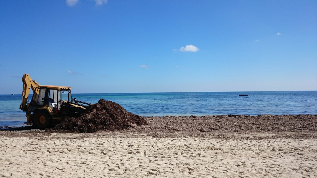 Baggerlärm am Strand Hotel El Mouradi Djerba Menzel