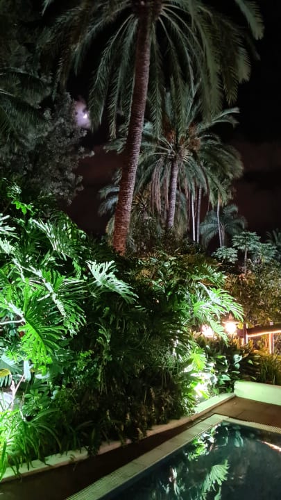 Gartenanlage Hotel Botanico & The Oriental Spa Garden