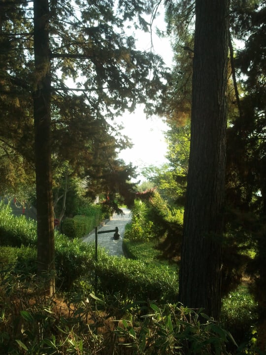 Herrlich grune Anlage Aeolos Beach Resort