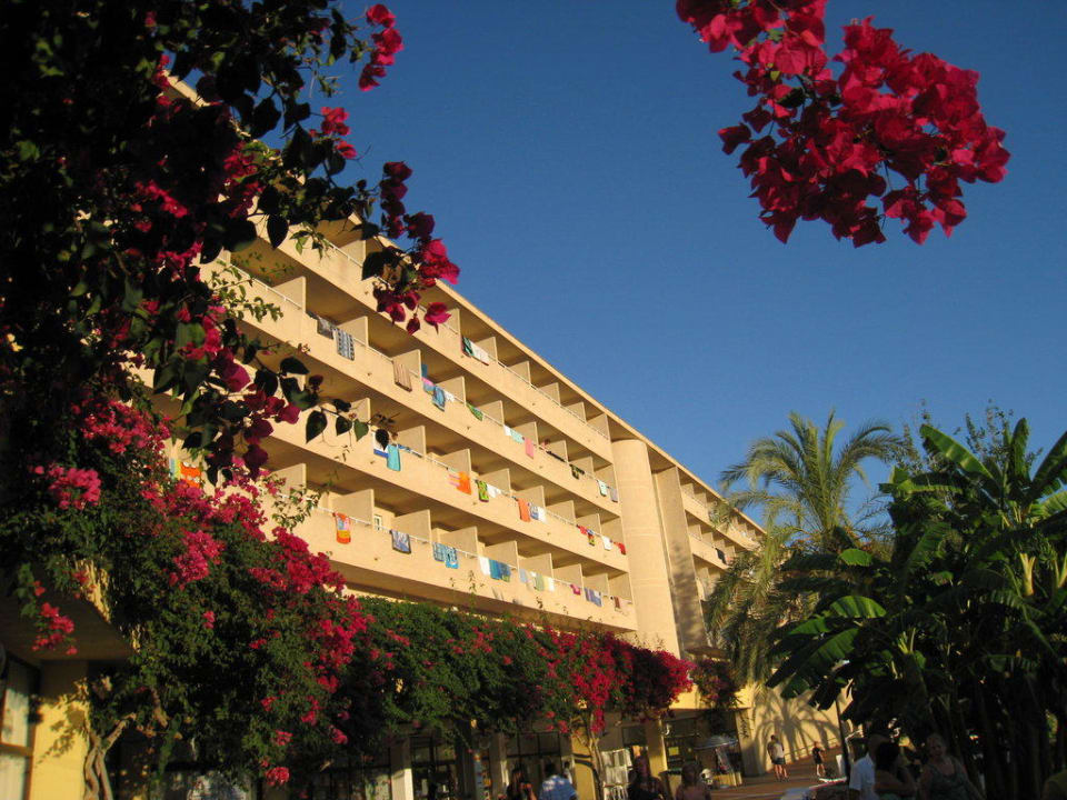 Hotel Hotel Club Cala Romani