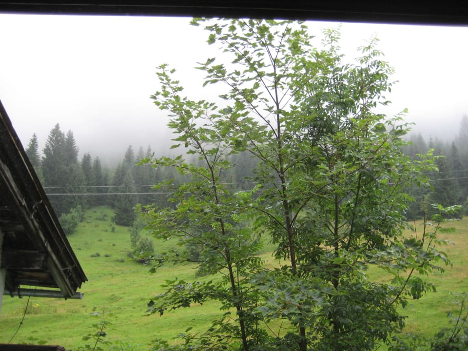 Ausblick aus dem Fenster  Hotel Berghof