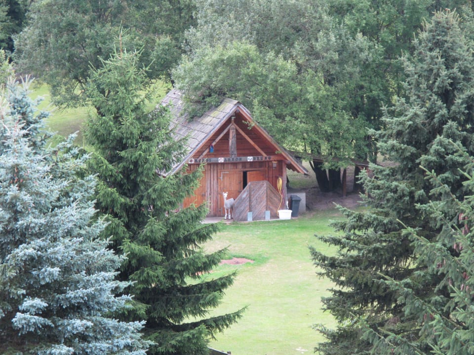 Alpakagehege Hotel Am Bühl