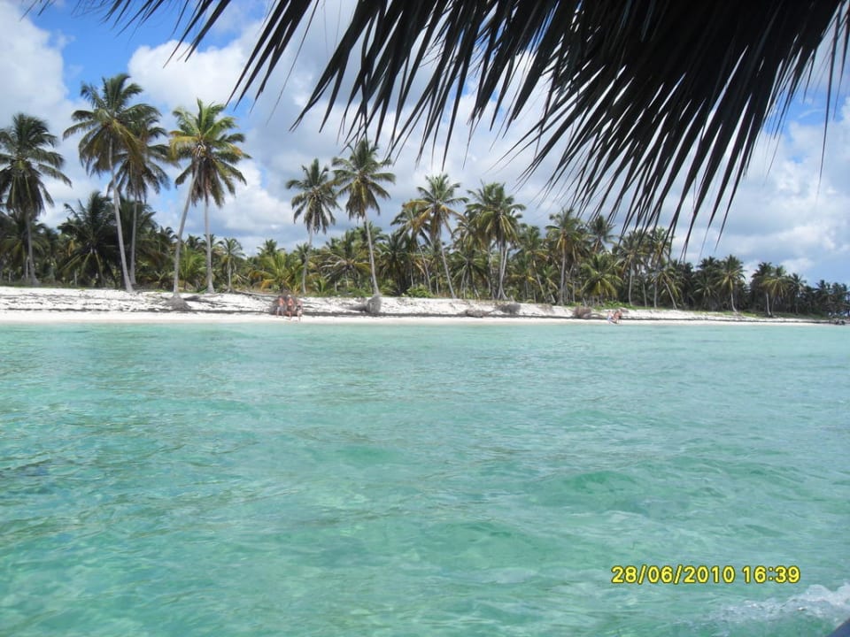 Aussicht am Strand Catalonia Punta Cana - All Inclusive