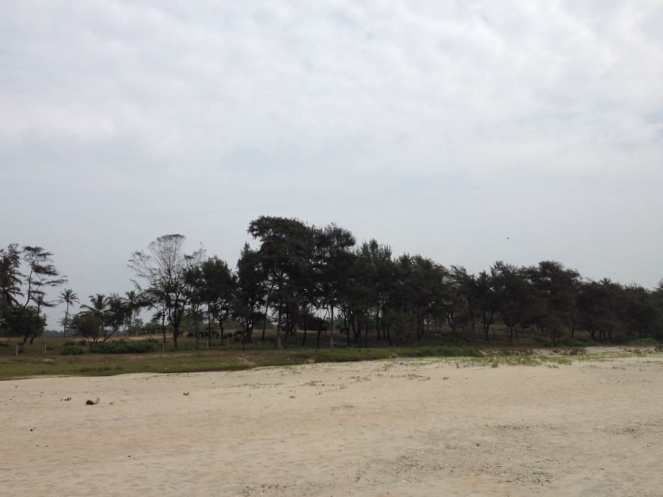 Hotelstrand Hotel Beleza By The Beach