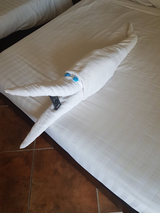 Zimmer Three Corners Sea Beach Resort