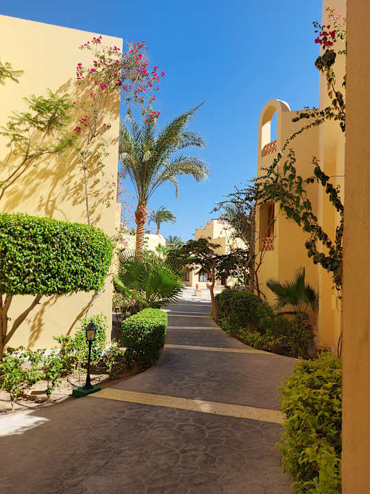 Außenansicht Steigenberger Coraya Beach - Adults only