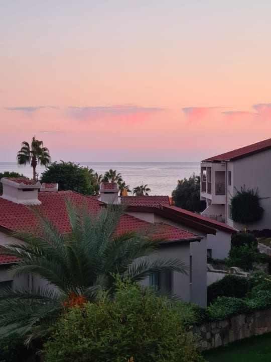 Ausblick Arum Barut Collection