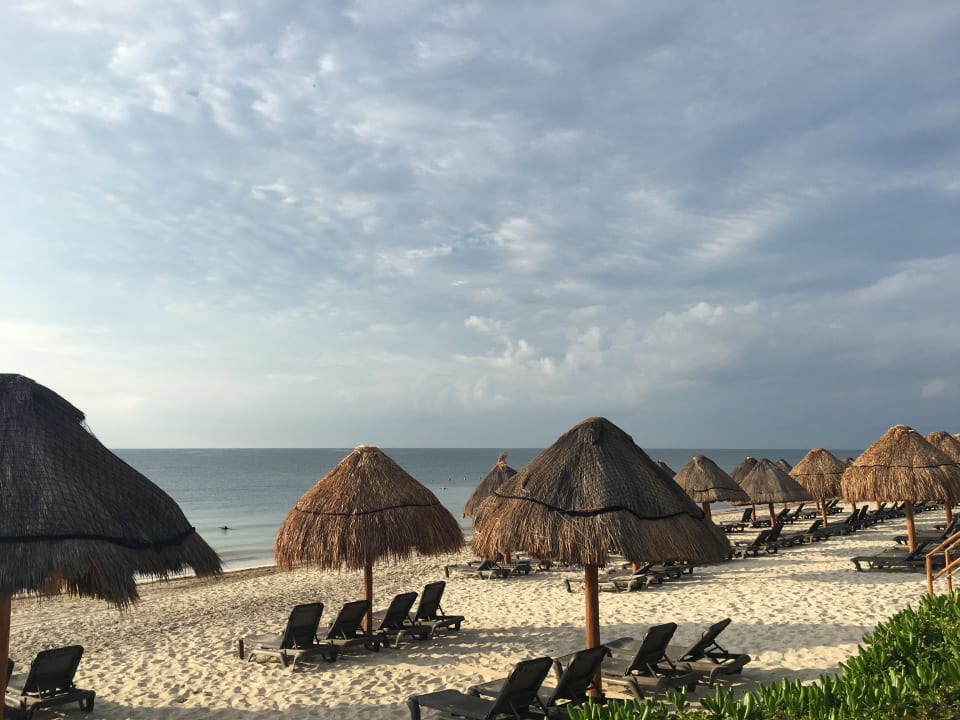 Strand Ocean Coral & Turquesa by H10