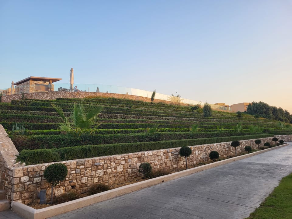 Gartenanlage Hotel Horizon Beach Resort