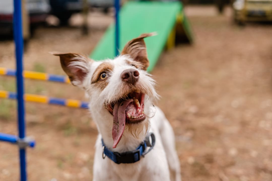 Sonstiges Club del Sole Jesolo Family Resort