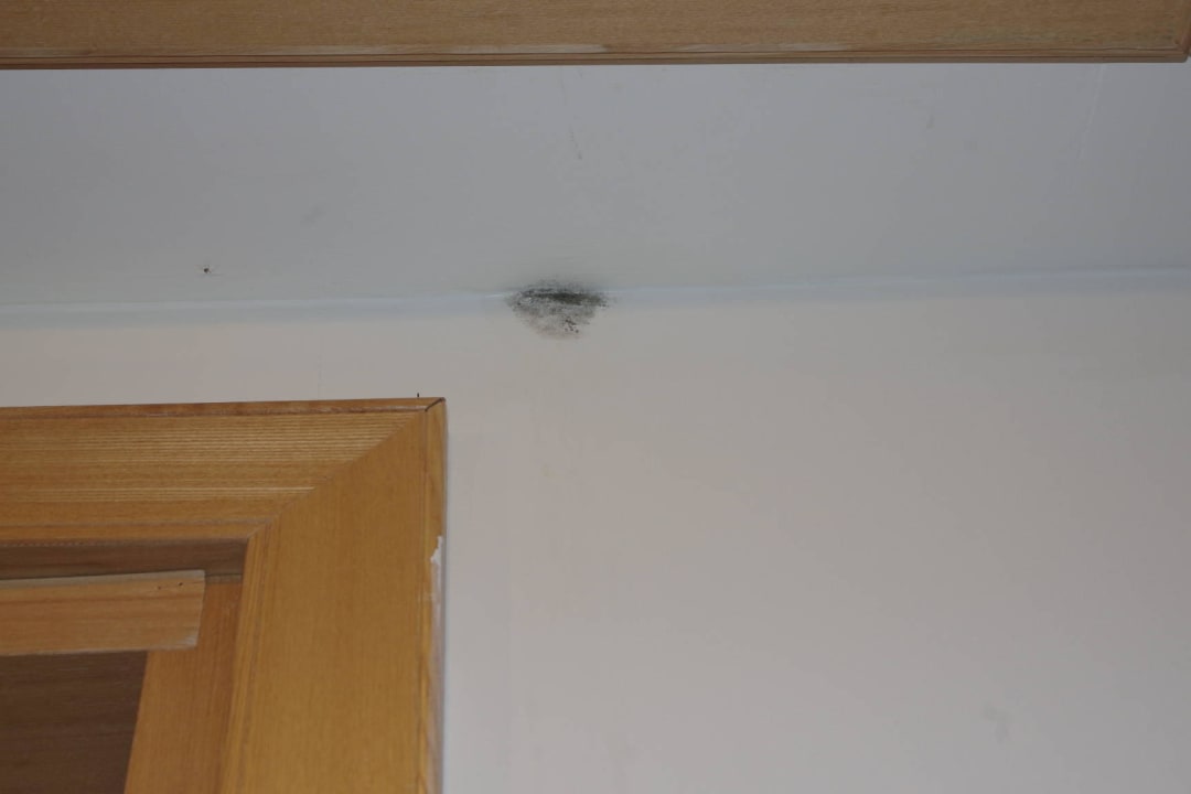 4006 schimmel oder dreck Lindos Imperial Resort & Spa