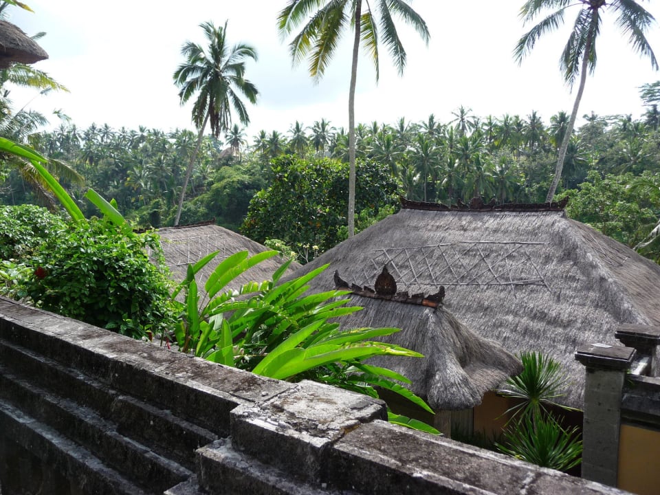 Ausblick von unserem Garten Kamandalu Ubud