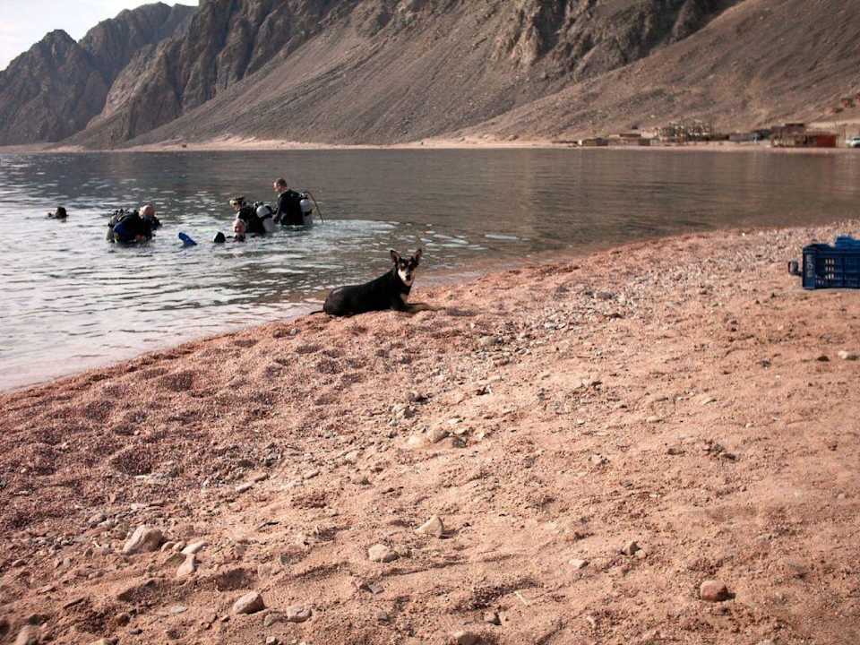 Tauchen mit "Aufsicht" Happy Life Village