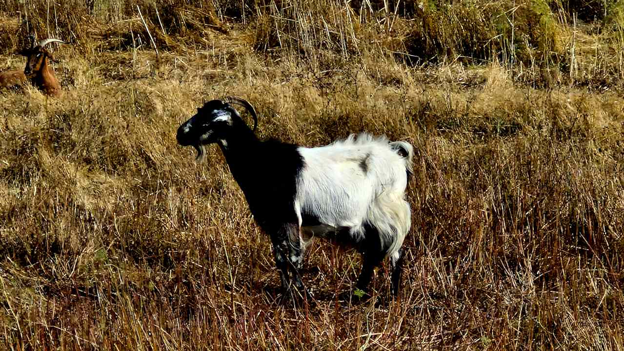 Ausblick Summer Village of Hippokrates - Adults only