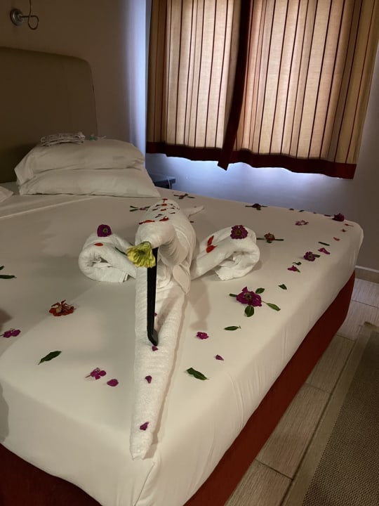 Zimmer Jaz Makadi Oasis Resort