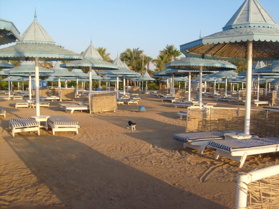 Strand The Grand Hotel Hurghada