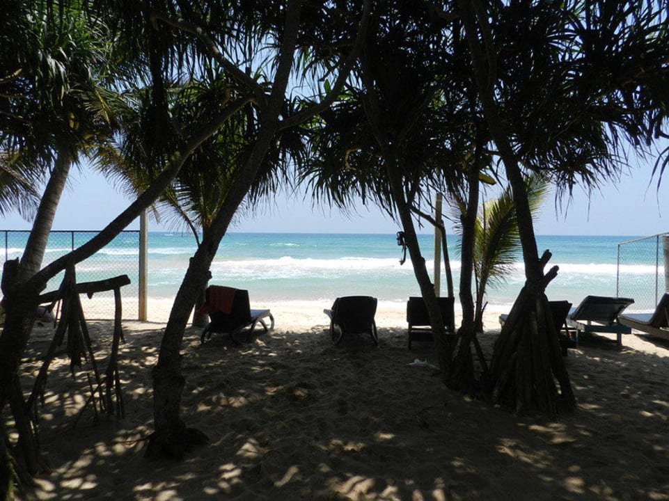 Aus dem Garten direkt in`s Meer  24.3.14 Hotel Haus am Meer Wilde Ananas