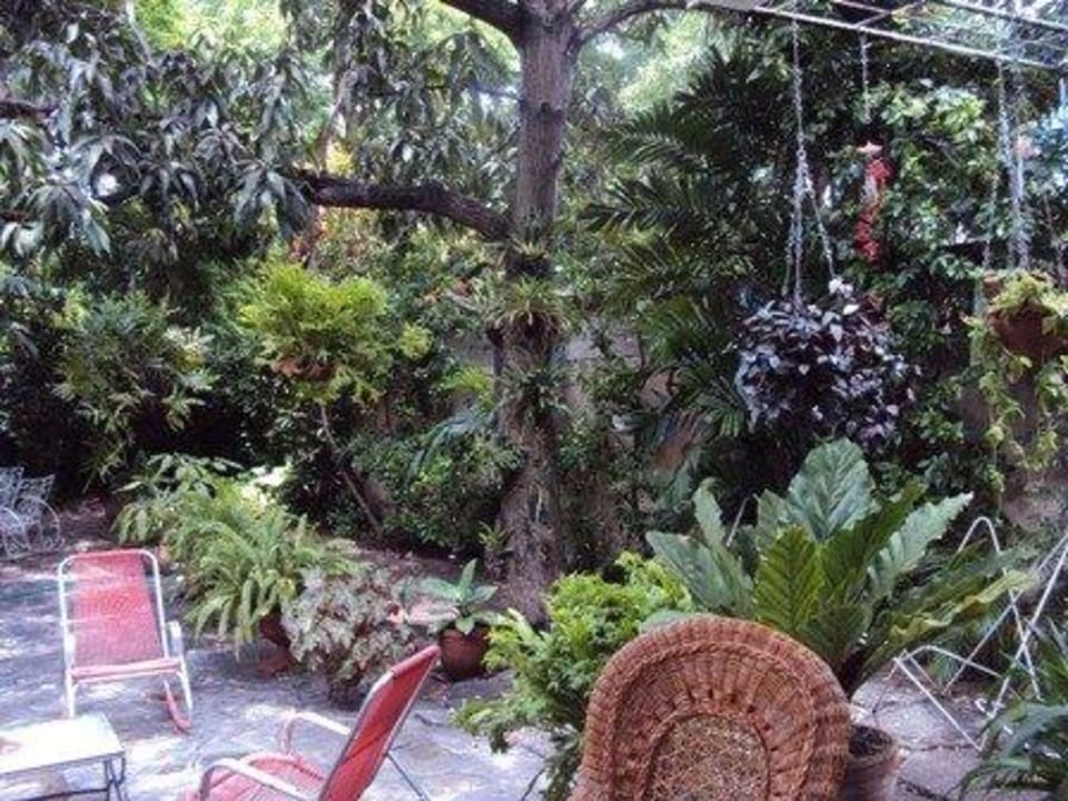 Terrace Villa Sole