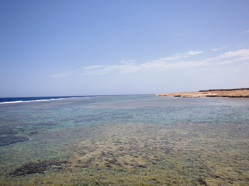 Strand Pickalbatros Sea World Resort - Marsa Alam