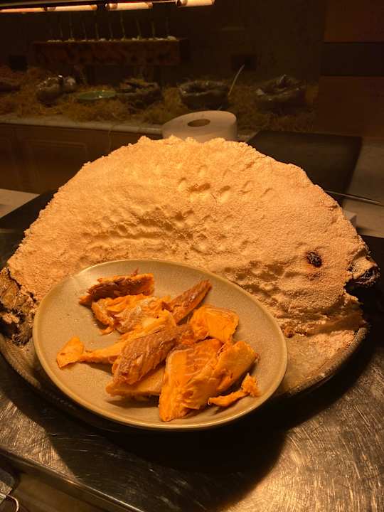 Gastro Acanthus Cennet Barut Collection