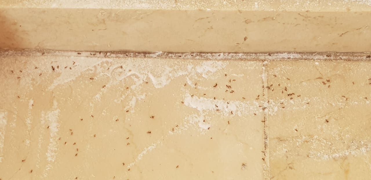 Sonstiges Hotel Riu Palace Jandia