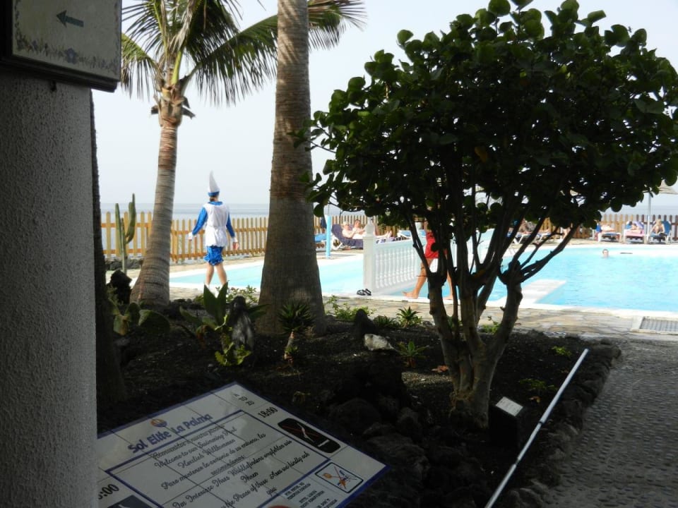 Smerf - zdarzało się Melia La Palma Hotel