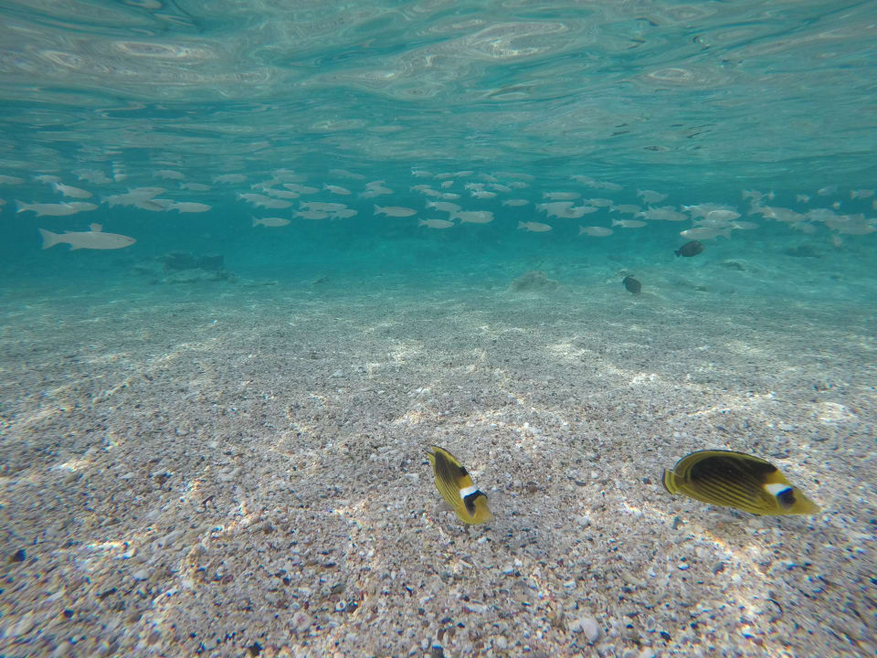 Strand Three Corners Sea Beach Resort