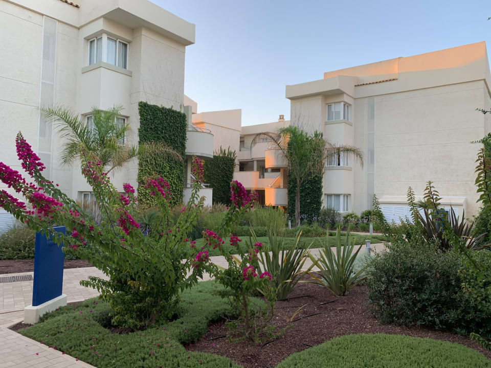 Gartenanlage Hipotels Mediterraneo Club