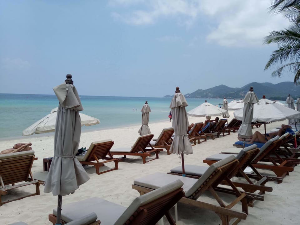 Strand Banana Fan Sea Resort