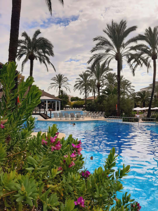 Pool Prinsotel La Dorada