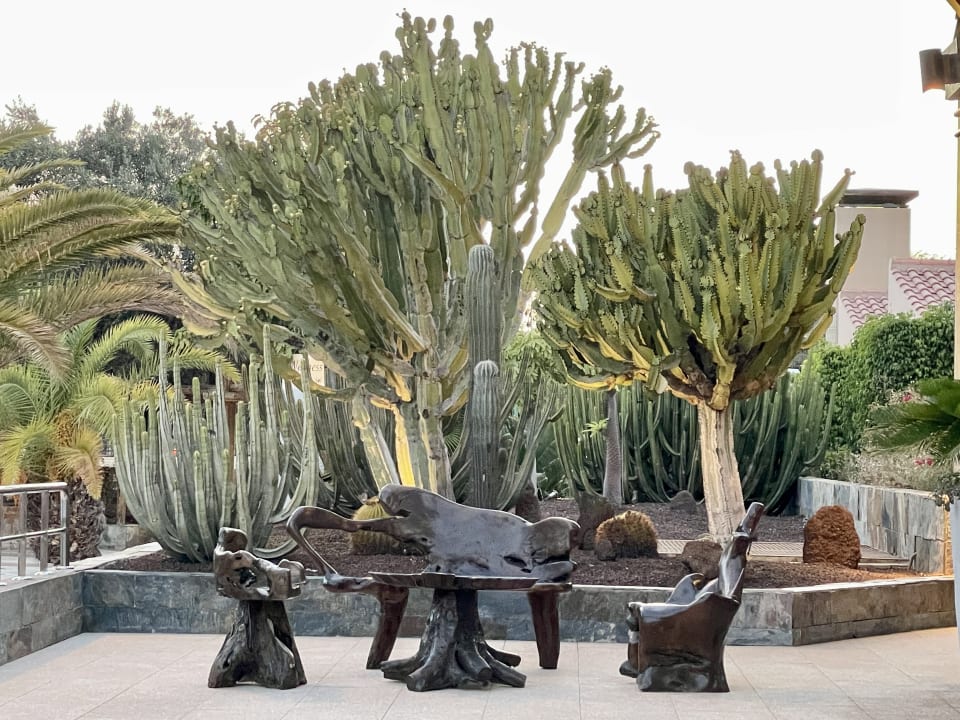 Gartenanlage allsun Hotel Esplendido