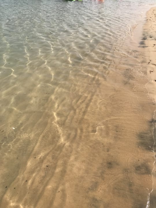 Sandqualität Marriott Hurghada Beach Resort