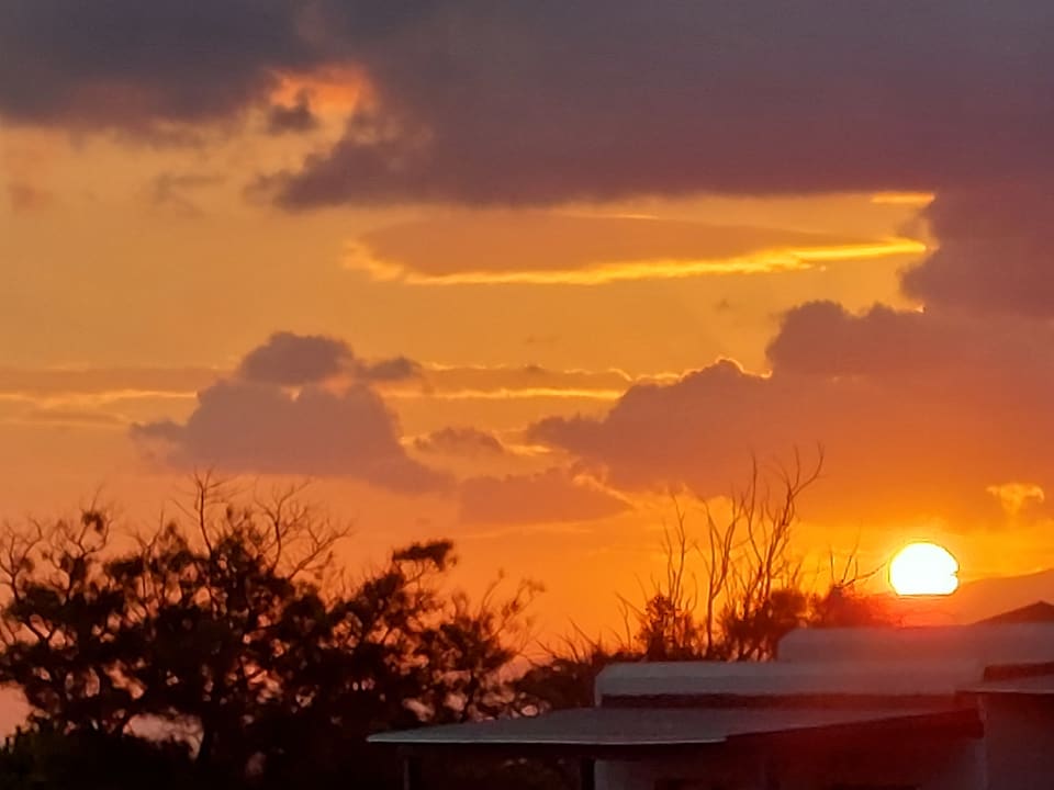 Ausblick TUI SUNEO Chrissi Amoudia