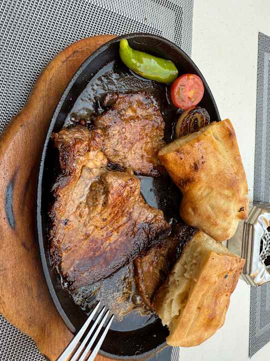 Gastro Seashell Vega