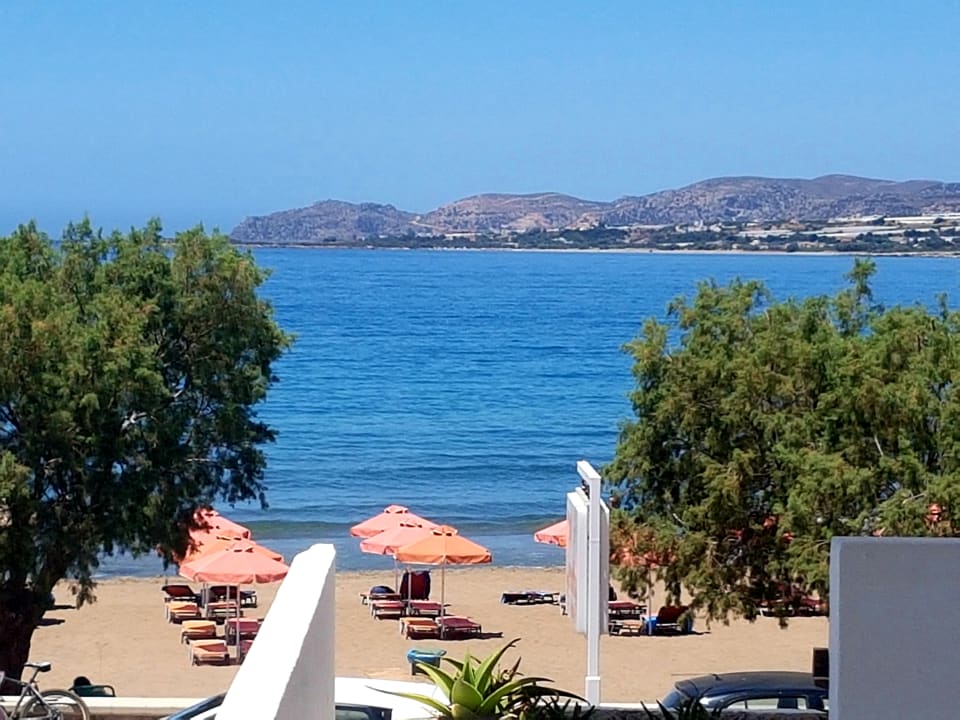 Ausblick Hotel Pal Beach