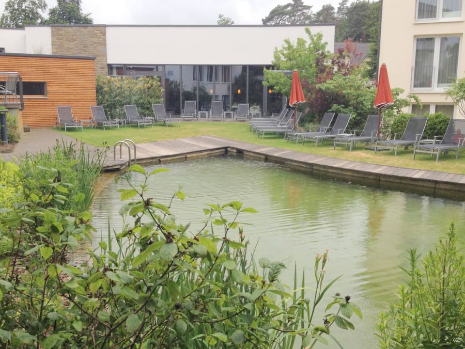Kleiner Naturteich Best Western Premier Park Hotel & Spa