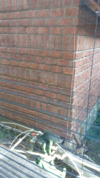 Zimmer Can Garden Beach