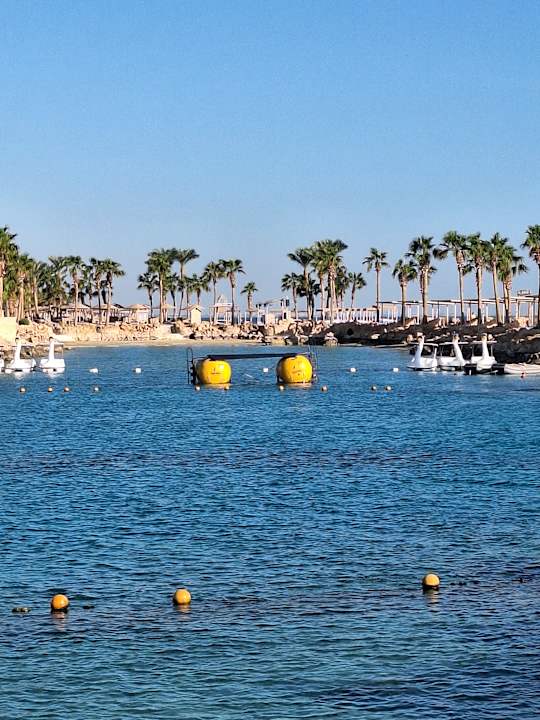 Pool Pickalbatros Citadel Resort
