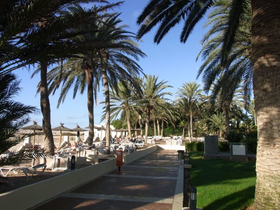 Früh am Morgen Hotel Riu Oliva Beach Resort