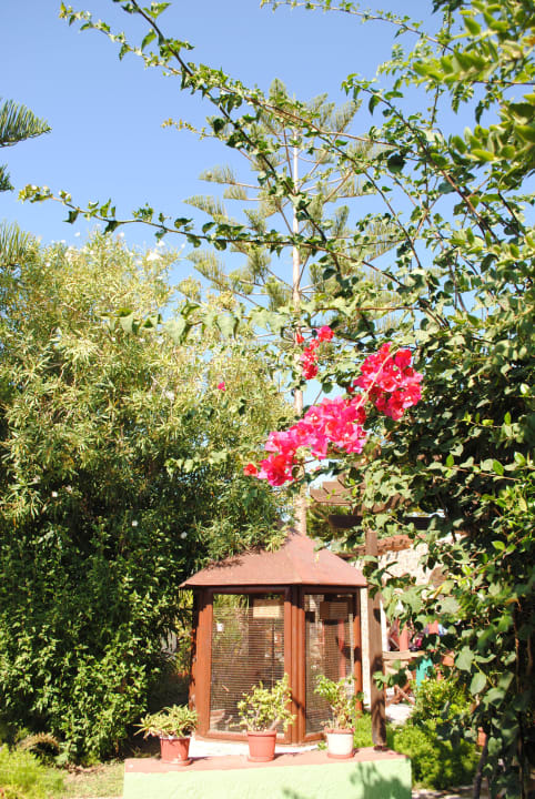 Ogród Gaia Garden Hotel